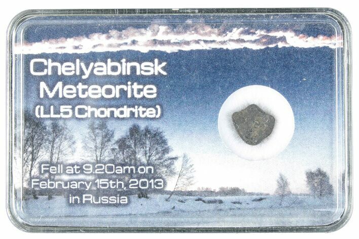 Oriented Chelyabinsk Meteorite ( g) - Witnessed Fall #284723